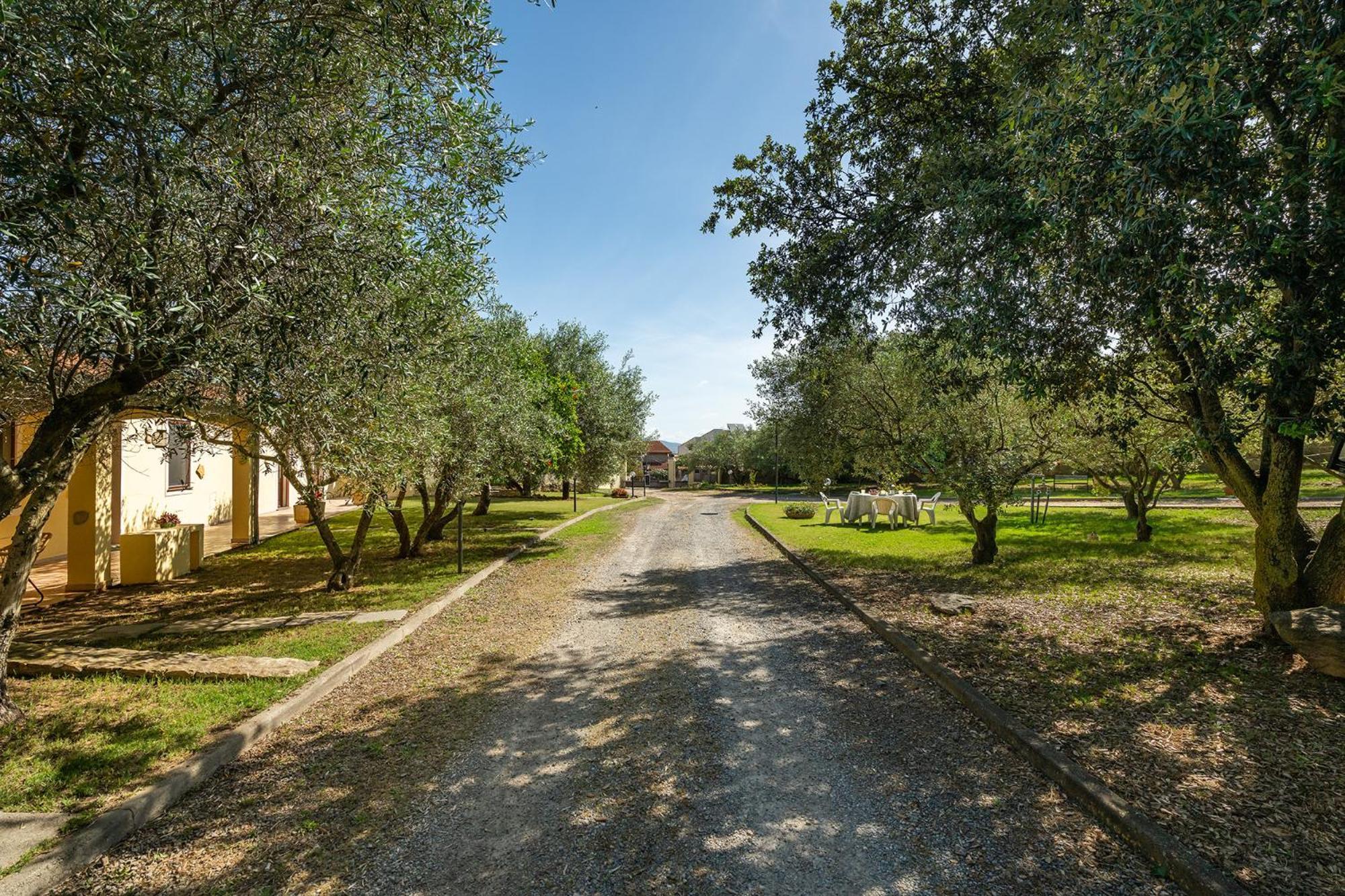 Вілла Residenza Parco Degli Ulivi Villamassargia Екстер'єр фото